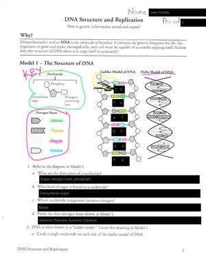 Evolution and Selection POGIL Answer Key માટે ઇમેજ પરિણામ