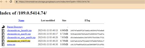 Image result for Selenium Testing Example
