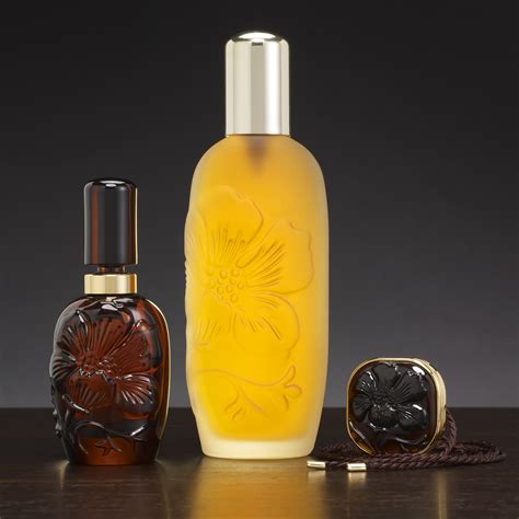 Afbeeldingsresultaten voor Elixir Clash