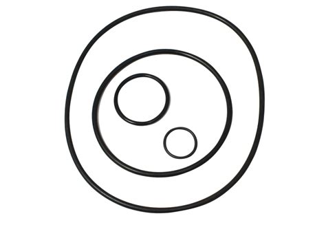 Image result for Sta-Rite Maxi Pro