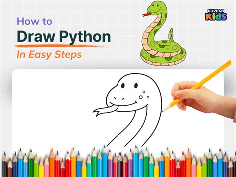 Image result for Drawing for Python Coding