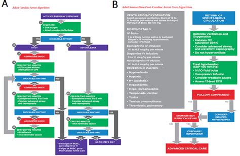 Post Cardiac Arrest Algorithm Peadiatric に対する画像結果