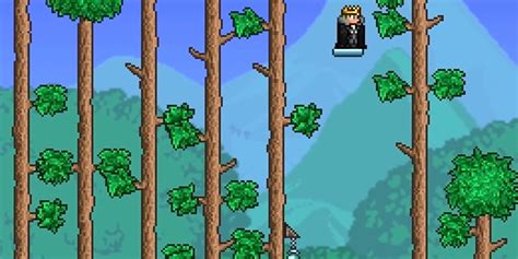 Image result for Magic Build Terraria
