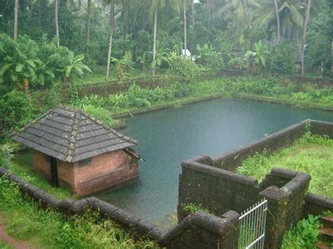 Image result for Champakasarasi Pond