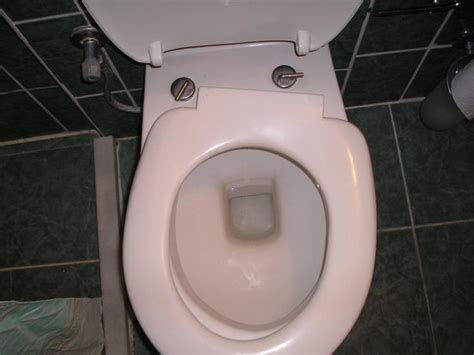 Image result for Toilet Kind