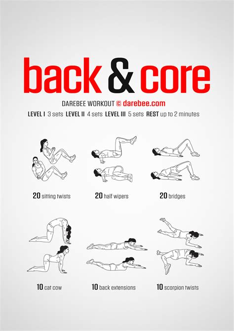 Image result for Core Muscle Workout
