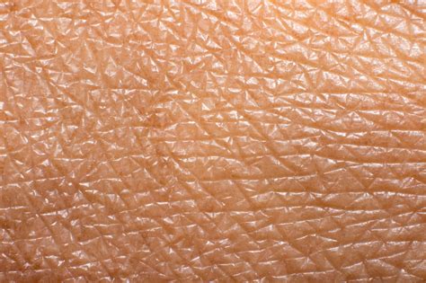 Toradh íomhá ar Skin Human Detail Texture