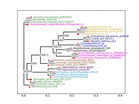 Python Plot Gene Structure に対する画像結果