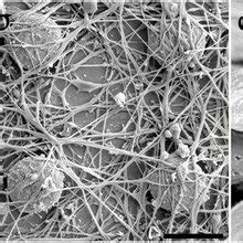 Neuron Under Electron Microscope に対する画像結果