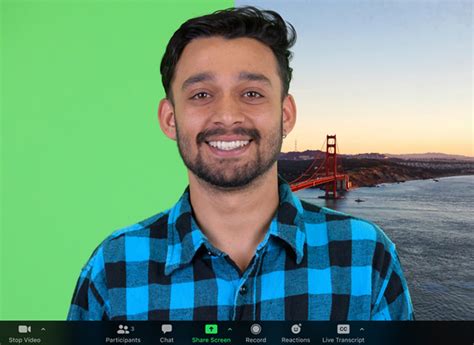 Image result for Zoom Greenscreen Free Download