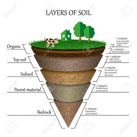 Toradh íomhá ar Line Graph Labeled Environmental Science Soil