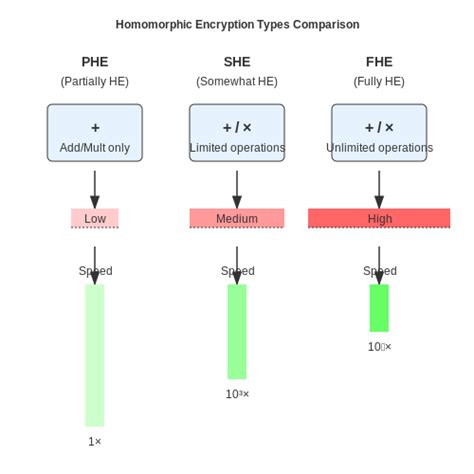 Partially Homomorphic Encryption માટે ઇમેજ પરિણામ