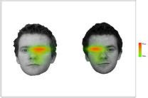 Image result for Visual Cognition Examples