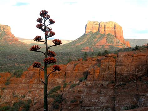 Image result for Passive Joint Massage