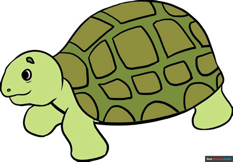 Image result for Turtle Draw