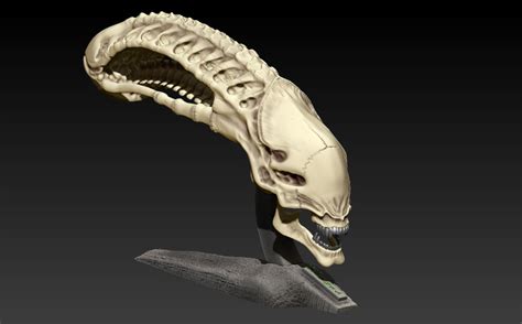 Alien Skull Display に対する画像結果