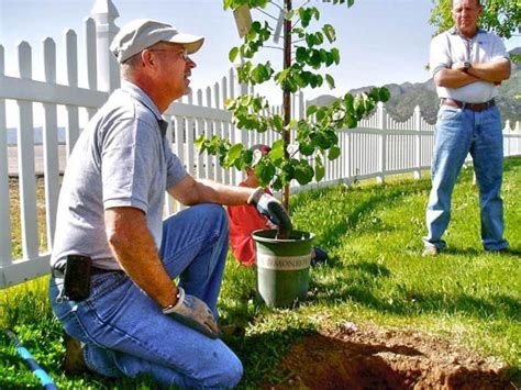 Image result for Multi Master Arbor