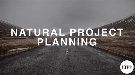 Project Method in Natural Setting に対する画像結果