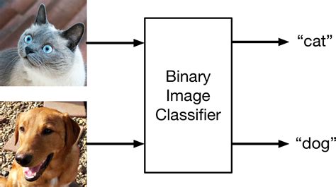 Image result for Animal Image Classification Dataset