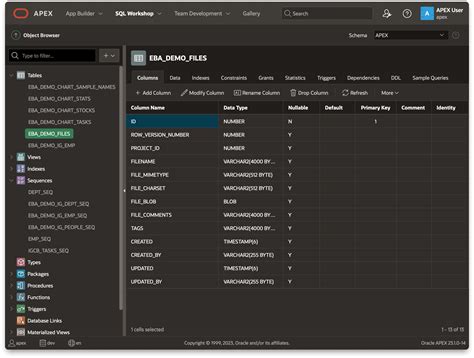 Image result for Oracle Apex 19 Object Browser Table Foreign Key