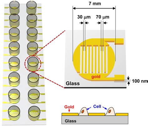 Full Capacitance Sensor に対する画像結果