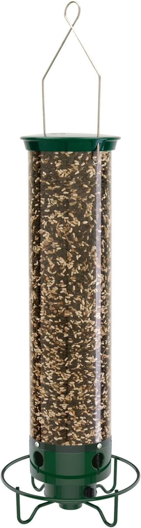 Droll Yankees కోసం చిత్ర ఫలితం