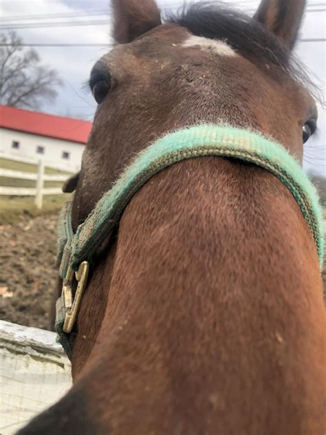 Image result for Facebook Loading Interface Image