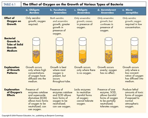 Afbeeldingsresultaten voor Microbial Growth Control