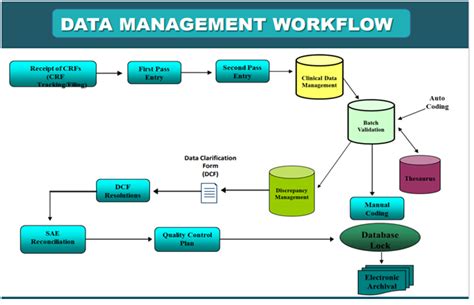 Image result for Clinical Trial Data Management Process