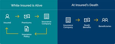 Image result for How Does Life Insurance Work