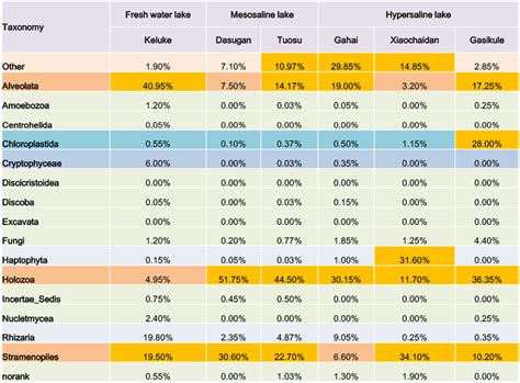 Drawing Distribution Matrix に対する画像結果