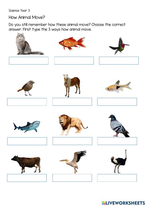 Image result for How Animals Move Worksheet