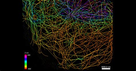 Image result for Molecule Microscope