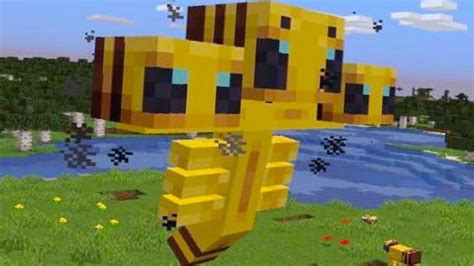 Afbeeldingsresultaten voor Cursed Bee PFP