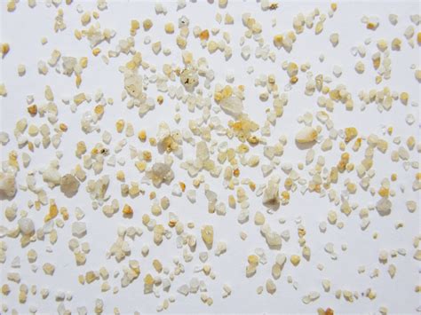 Pull the Sand Filter に対する画像結果