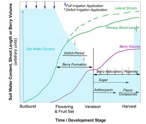 Image result for Edge Impulse Vineyard Irrigation