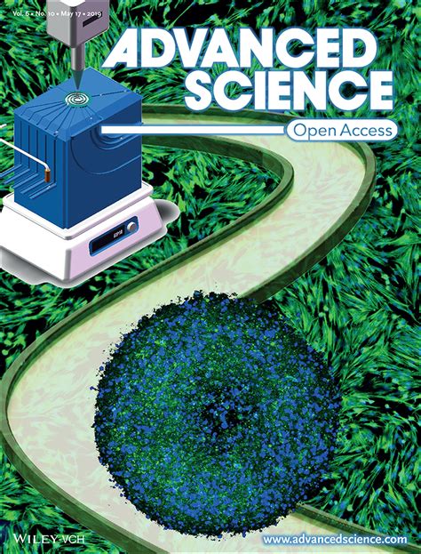 Image result for Advanced Science G Stylios