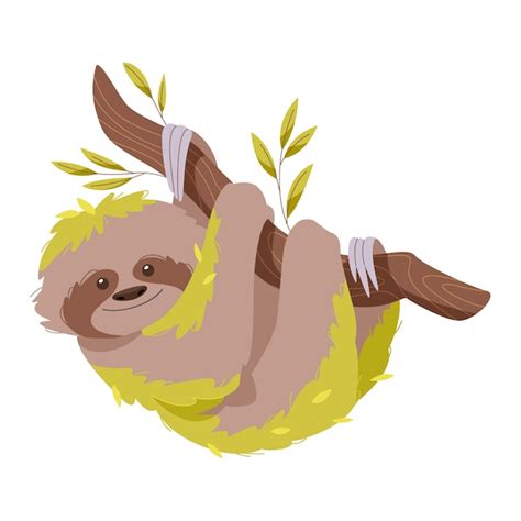 Image result for Sloth Cartoon