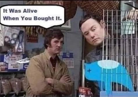 Image result for Monty Python Dead Twitter Bird Meme