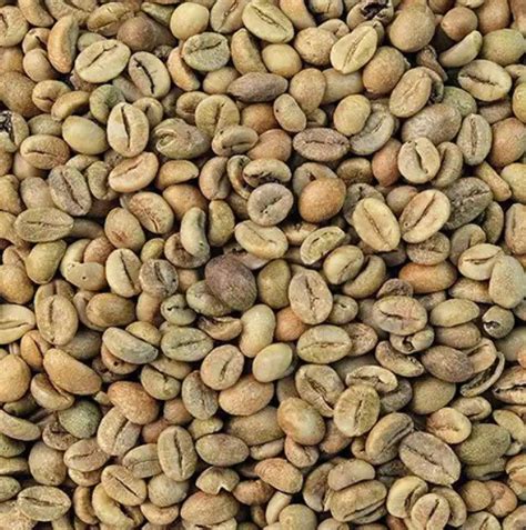 Java Coffee Beams に対する画像結果