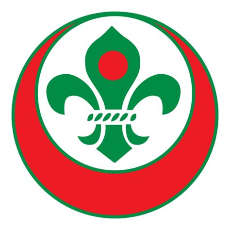 Image result for Scout Logo CSS