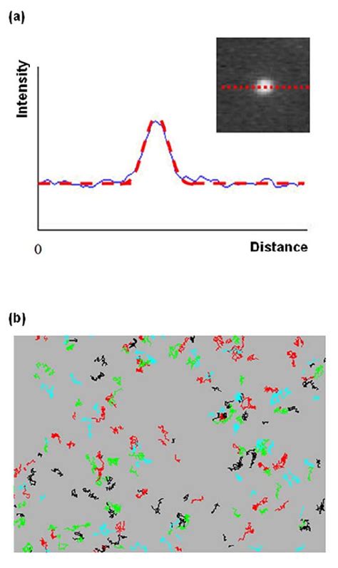 Image result for Particle Tracking Intensity Increase