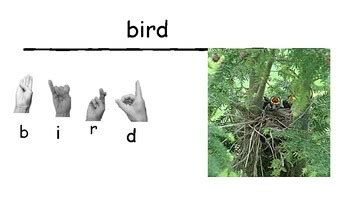 Image result for Spring ASL Sign