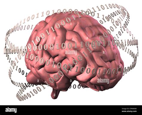 Image result for Alt Code Brain