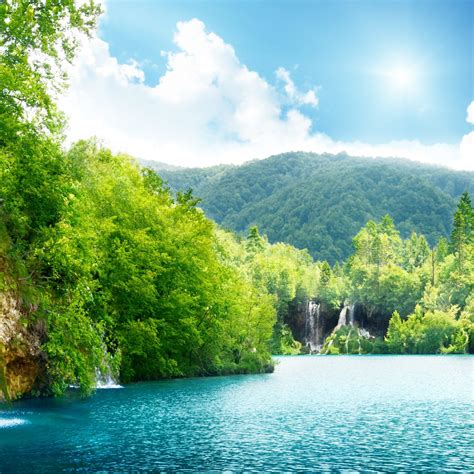 Image result for Nature Drawing Easy