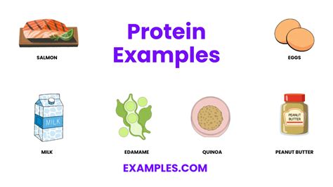 Afbeeldingsresultaten voor Complex Protein Examples