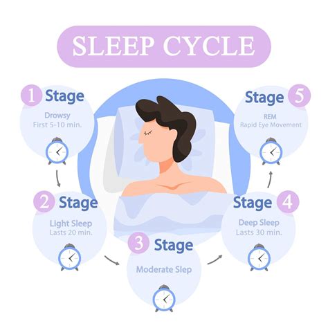 Sleep Cycle Diagram に対する画像結果