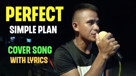 Image result for Perfect Song Simple Plan