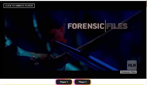 Image result for HLN Live Coverage