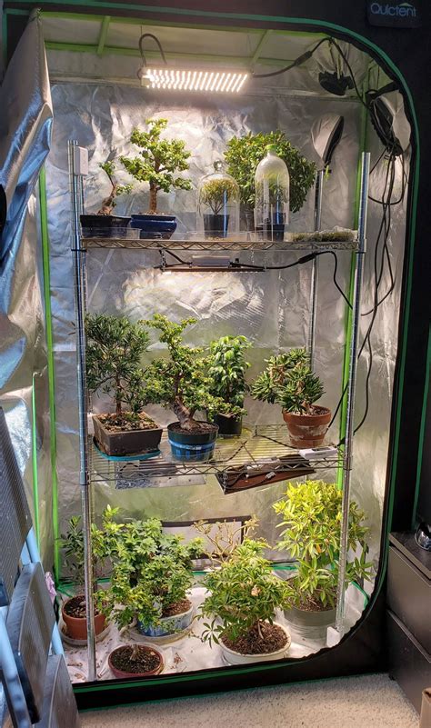 Image result for Using Grow Tents